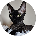 charles O. profile picture