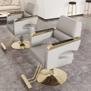Modern Luxury Salon Wholesale Unique Styling Chairs All Purpose