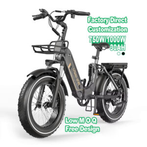 Electric City E-Bike 1000w 30ah