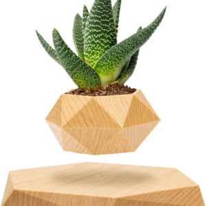Levitating Plant Pot