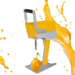 Commercial Stainless-Steel Fresh Fruit Juice Extractor