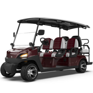 4 Wheel 6 Seater Golf Cart