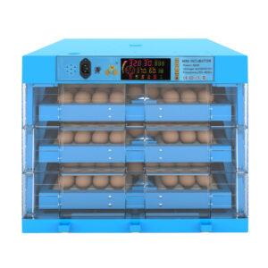 Automatic Egg Incubator