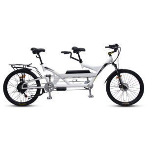TXED 350W Two Person Electric Bicycle