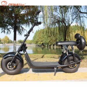 Removable Battery Electric Scooter