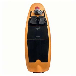 Electric Surfboard